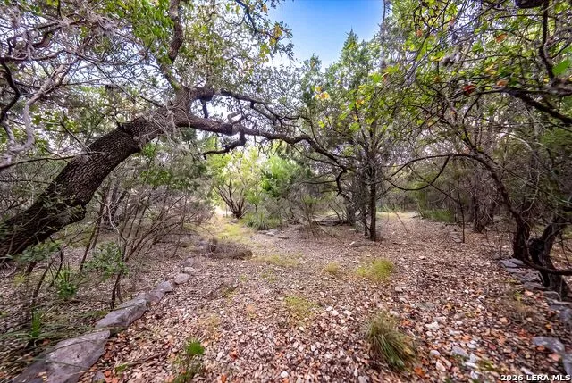 719 Walder Trail San Antonio, TX 78260