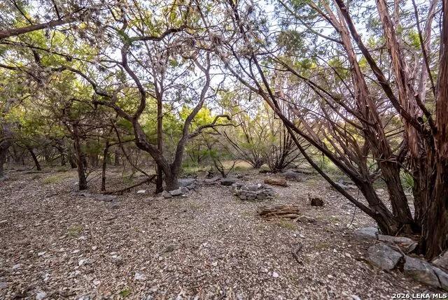719 Walder Trail San Antonio, TX 78260