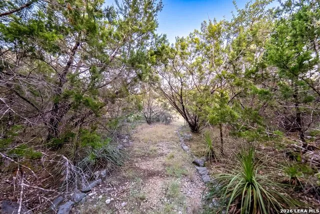 719 Walder Trail San Antonio, TX 78260