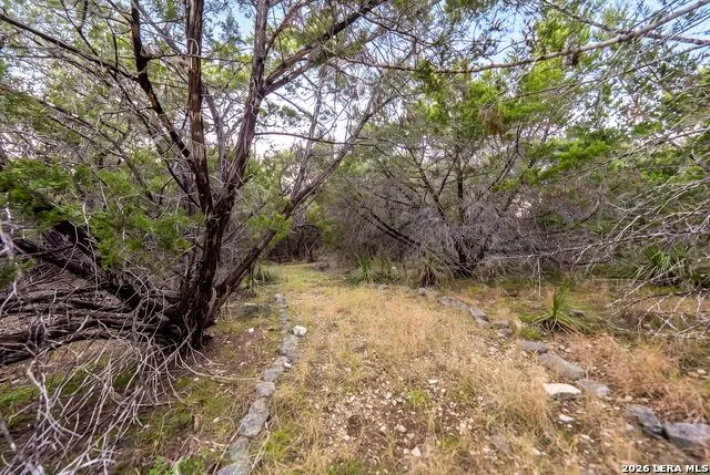 719 Walder Trail San Antonio, TX 78260