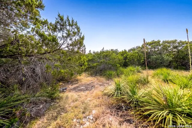 719 Walder Trail San Antonio, TX 78260