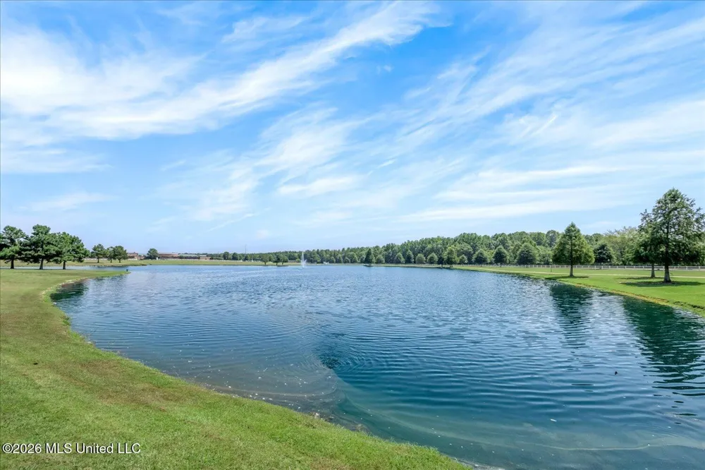 13415 Fields Lane Olive Branch, MS 38654
