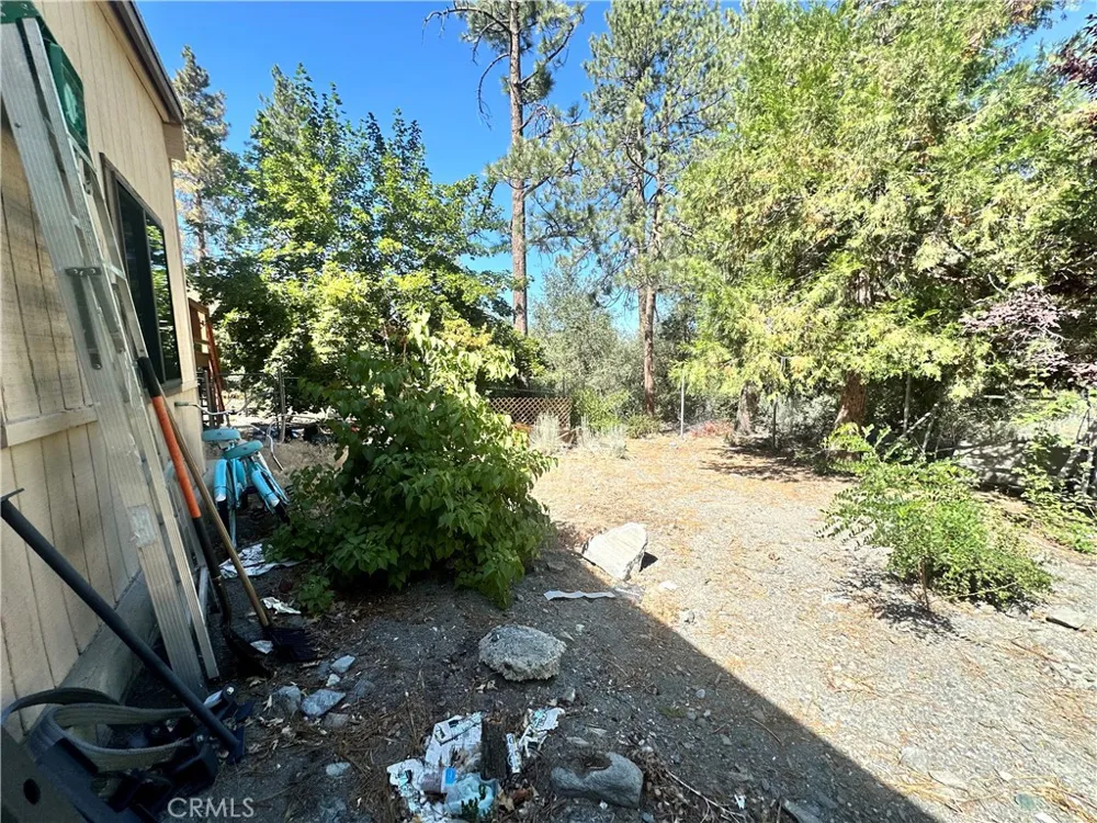 1650 Blackbird Wrightwood, CA 92397