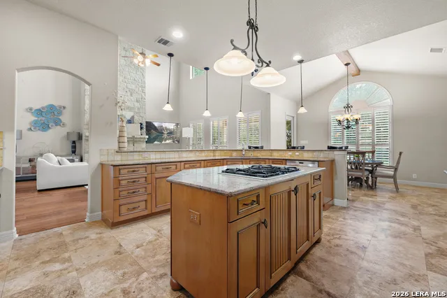 24511 BOGEY RDG San Antonio, TX 78260