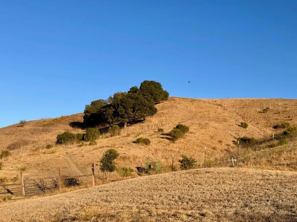90 Adrian Dr Hollister, CA 95023