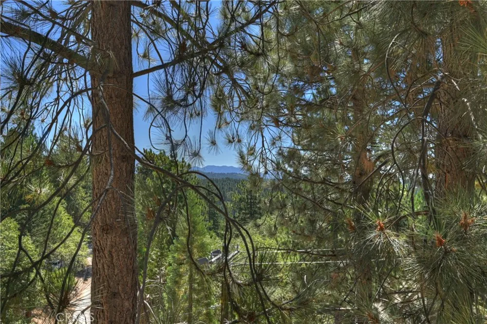 1753 Nob Hill Drive Running Springs, CA 92382
