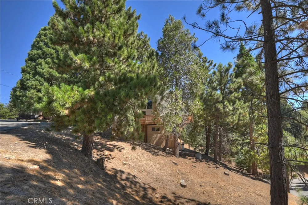 1753 Nob Hill Drive Running Springs, CA 92382