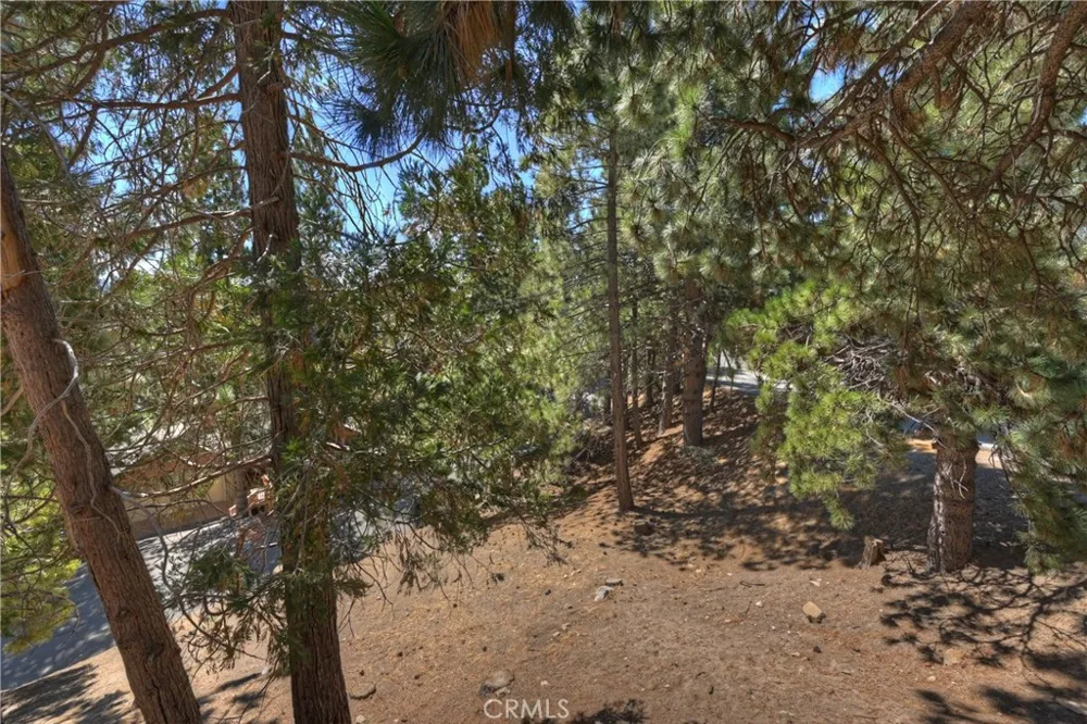 1753 Nob Hill Drive Running Springs, CA 92382