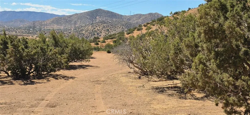 Berncastle Road Acton, CA 93510