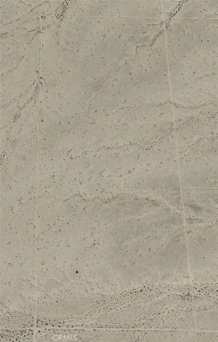 101 Screech Owl Road 29 Palms, CA 92277