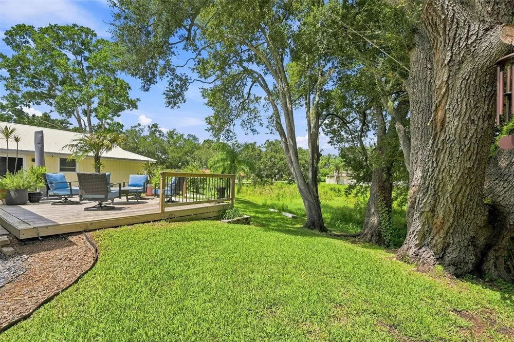 10113 LINDELAAN DRIVE Tampa, FL 33618