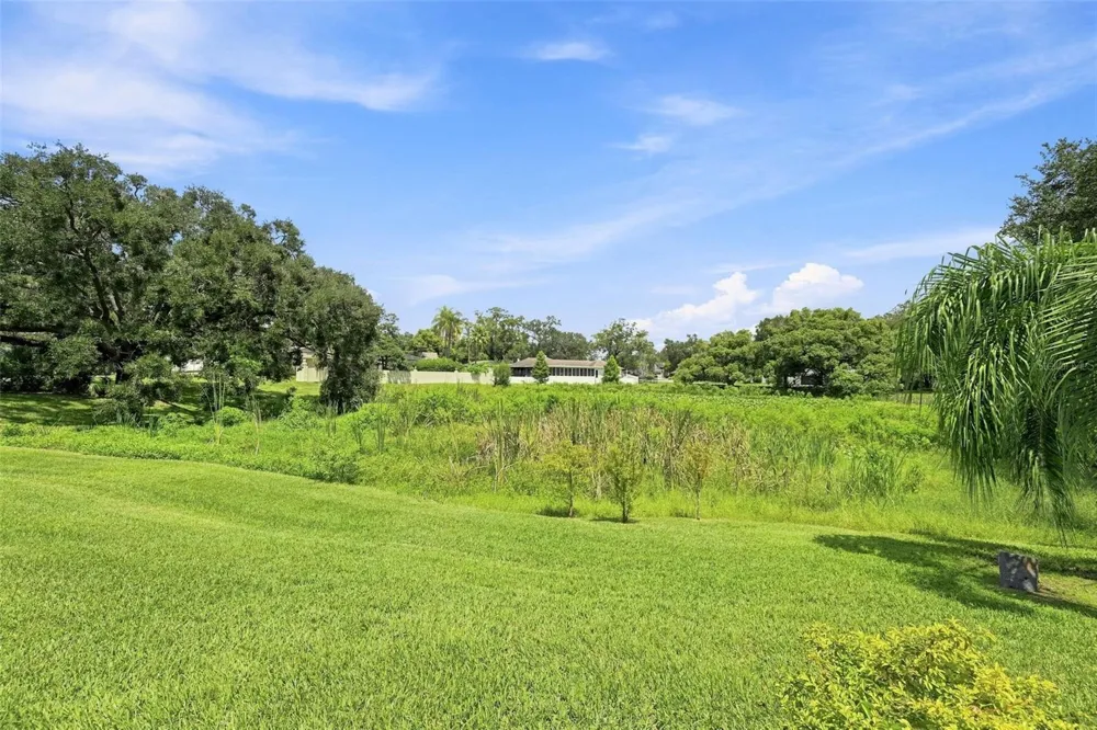 10113 LINDELAAN DRIVE Tampa, FL 33618
