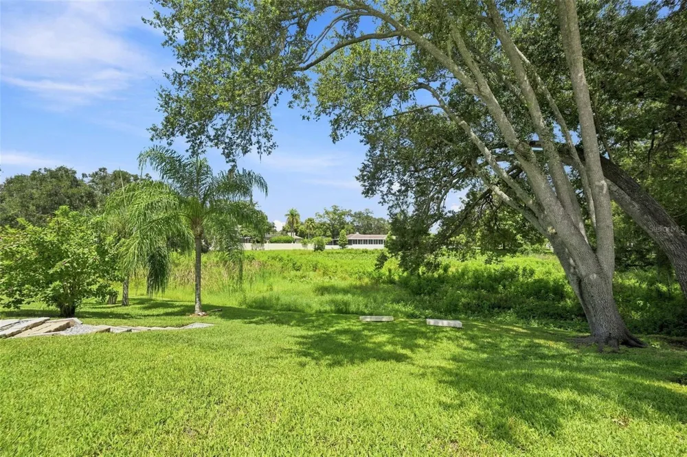 10113 LINDELAAN DRIVE Tampa, FL 33618