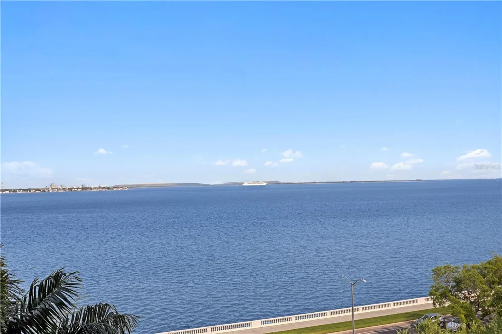3301 BAYSHORE BOULEVARD #806C Tampa, FL 33629