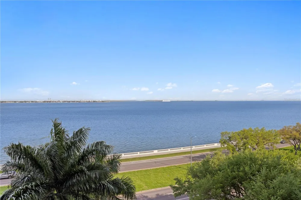 3301 BAYSHORE BOULEVARD #806C Tampa, FL 33629