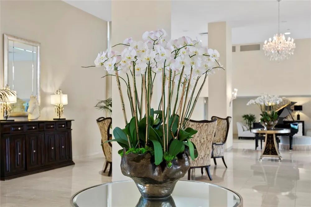 3301 BAYSHORE BOULEVARD #806C Tampa, FL 33629