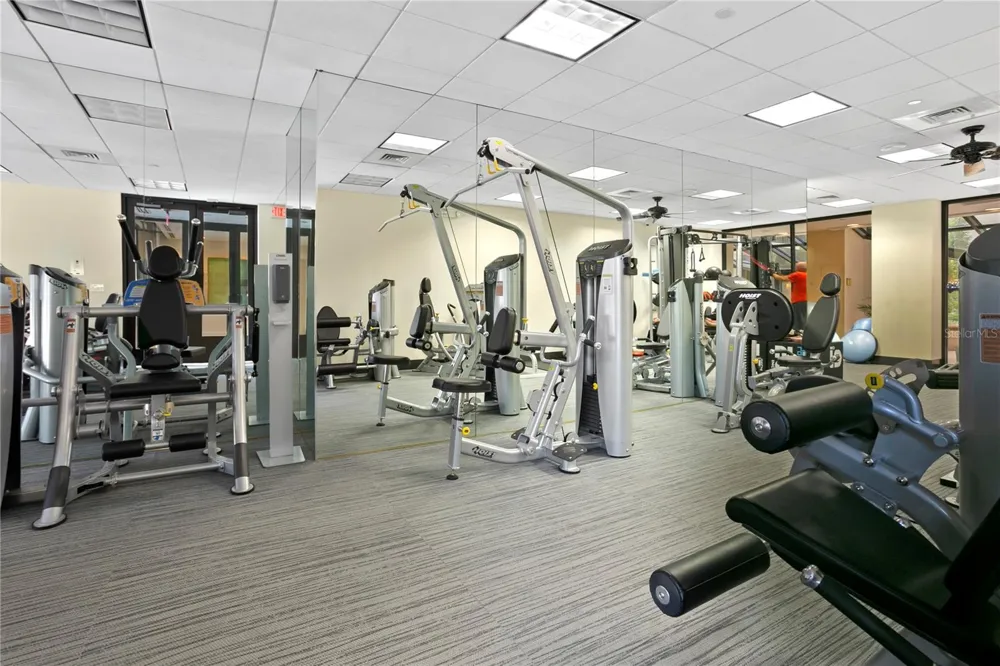 3301 BAYSHORE BOULEVARD #806C Tampa, FL 33629
