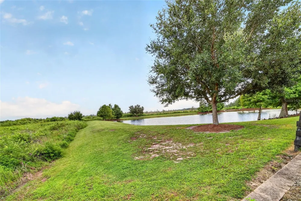 3751 WINE PALM WAY The Villages, FL 32163