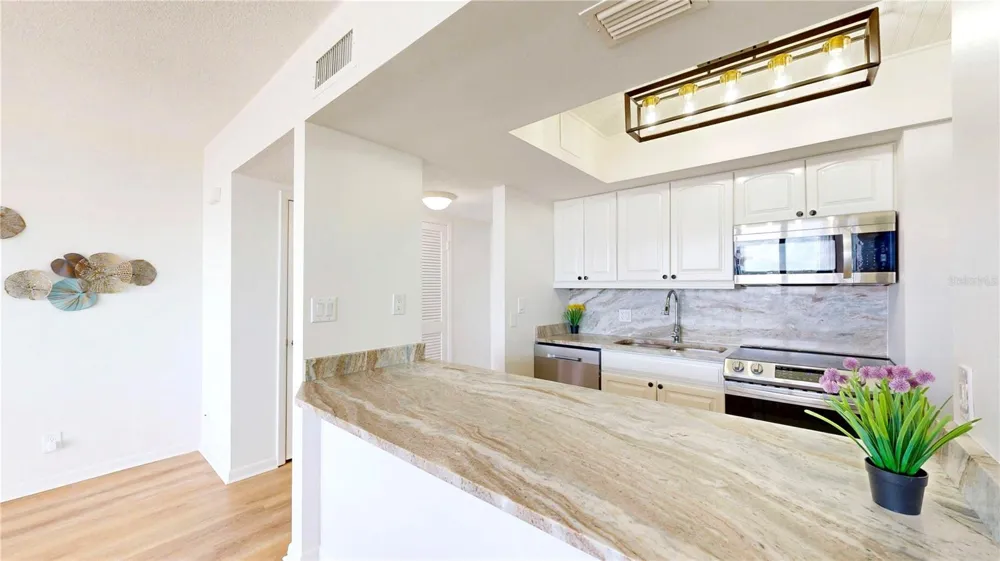 5396 GULF BOULEVARD #909 St Pete Beach, FL 33706