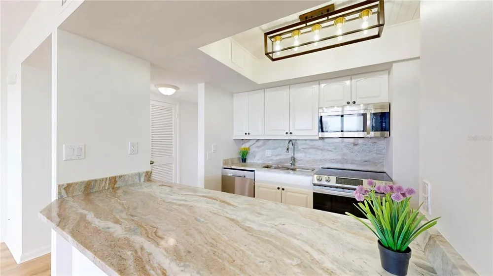 5396 GULF BOULEVARD #909 St Pete Beach, FL 33706