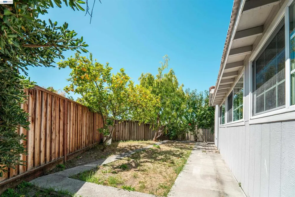4167 Sunflower Ct Union City, CA 94587