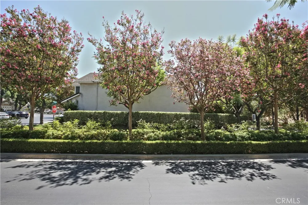 3211 Armsley Drive Chino Hills, CA 91709