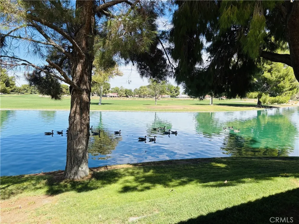 27535 Lakeview #44 Helendale, CA 92342