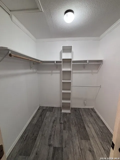 9140 Timber Path #2405 San Antonio, TX 78250