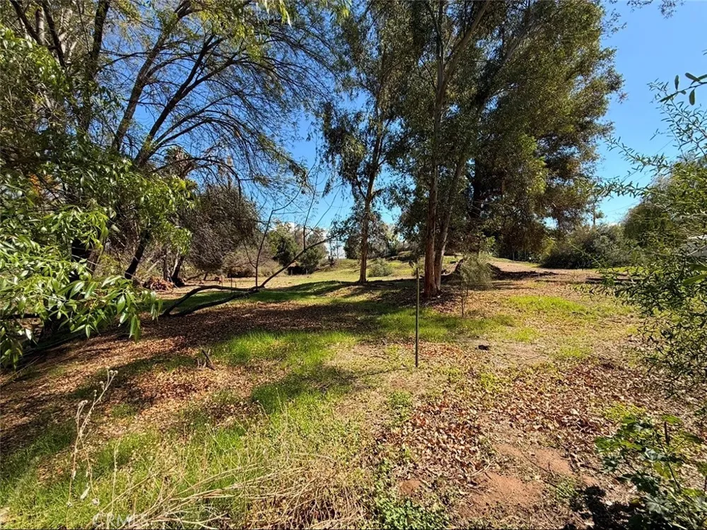 1795 Prince Albert Riverside, CA 92507