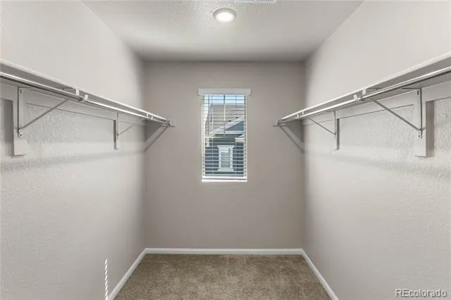 5077 S Robb Street Littleton, CO 80127