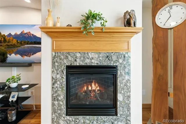 9776 S Johnson Court Littleton, CO 80127