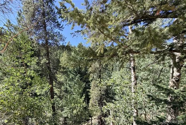 000 Silver Dollar Lode Georgetown, CO 80444