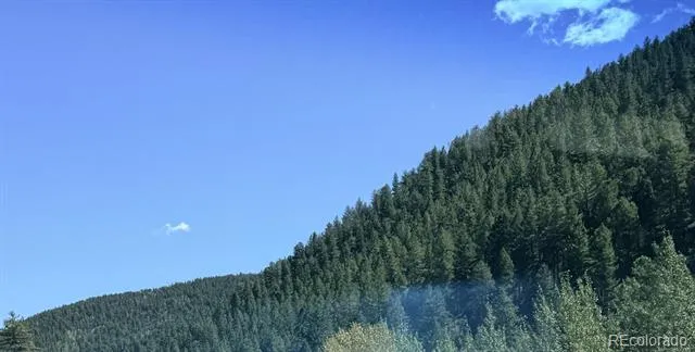 000 Silver Dollar Lode Georgetown, CO 80444