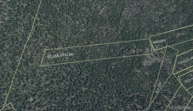 000 Silver Dollar Lode Georgetown, CO 80444