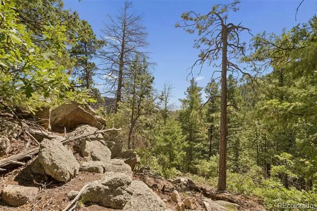 5110 Little Turkey Creek Road Colorado Springs, CO 80926