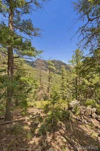 5110 Little Turkey Creek Road Colorado Springs, CO 80926