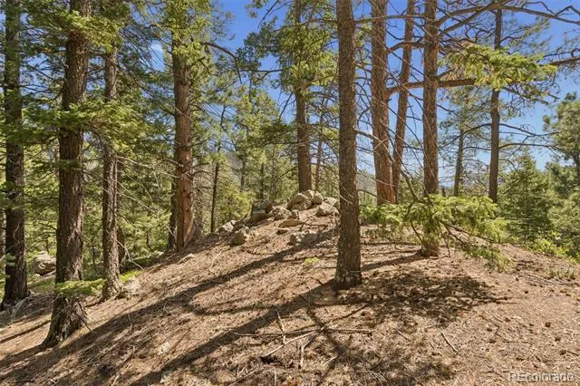 5110 Little Turkey Creek Road Colorado Springs, CO 80926