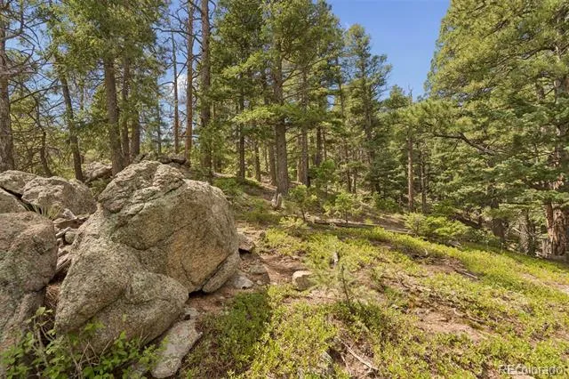 5110 Little Turkey Creek Road Colorado Springs, CO 80926