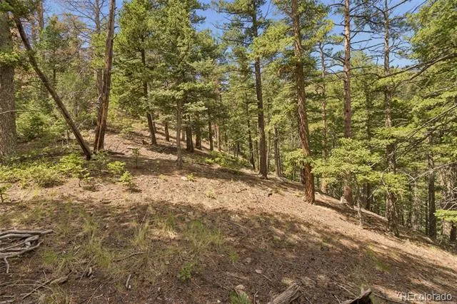 5110 Little Turkey Creek Road Colorado Springs, CO 80926