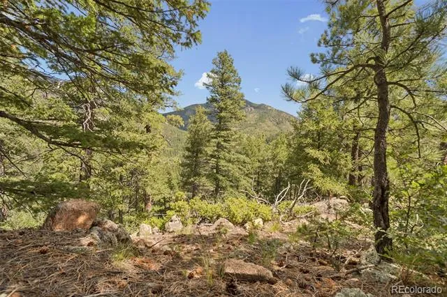 5110 Little Turkey Creek Road Colorado Springs, CO 80926