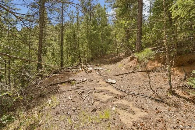 5110 Little Turkey Creek Road Colorado Springs, CO 80926