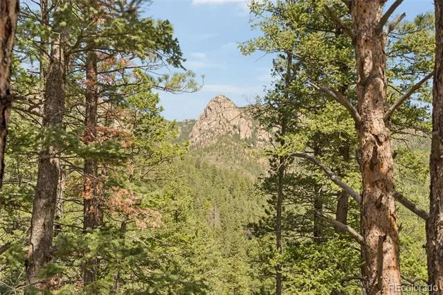 5110 Little Turkey Creek Road Colorado Springs, CO 80926