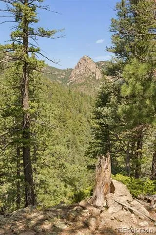 5110 Little Turkey Creek Road Colorado Springs, CO 80926