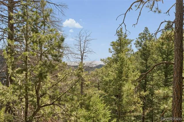 5110 Little Turkey Creek Road Colorado Springs, CO 80926