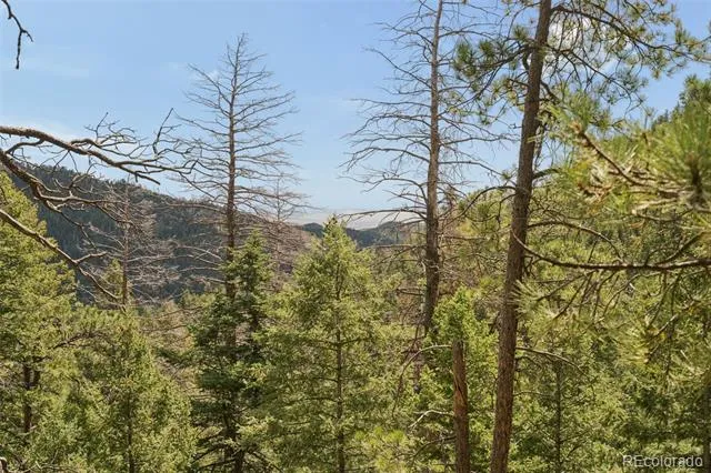 5110 Little Turkey Creek Road Colorado Springs, CO 80926