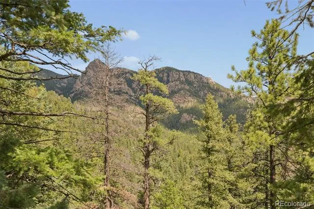 5110 Little Turkey Creek Road Colorado Springs, CO 80926