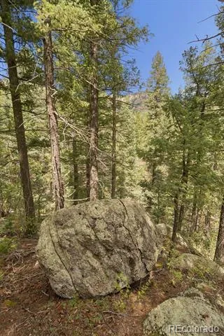 5110 Little Turkey Creek Road Colorado Springs, CO 80926