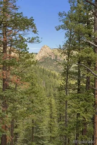 5110 Little Turkey Creek Road Colorado Springs, CO 80926