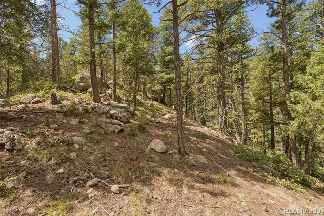 5110 Little Turkey Creek Road Colorado Springs, CO 80926