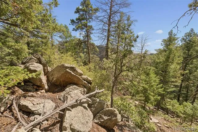 5110 Little Turkey Creek Road Colorado Springs, CO 80926